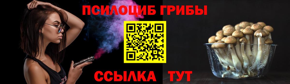 Галлюциногенные грибы Psilocybine cubensis Кубинка